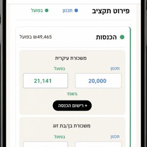 מערכת ניהול תקציב