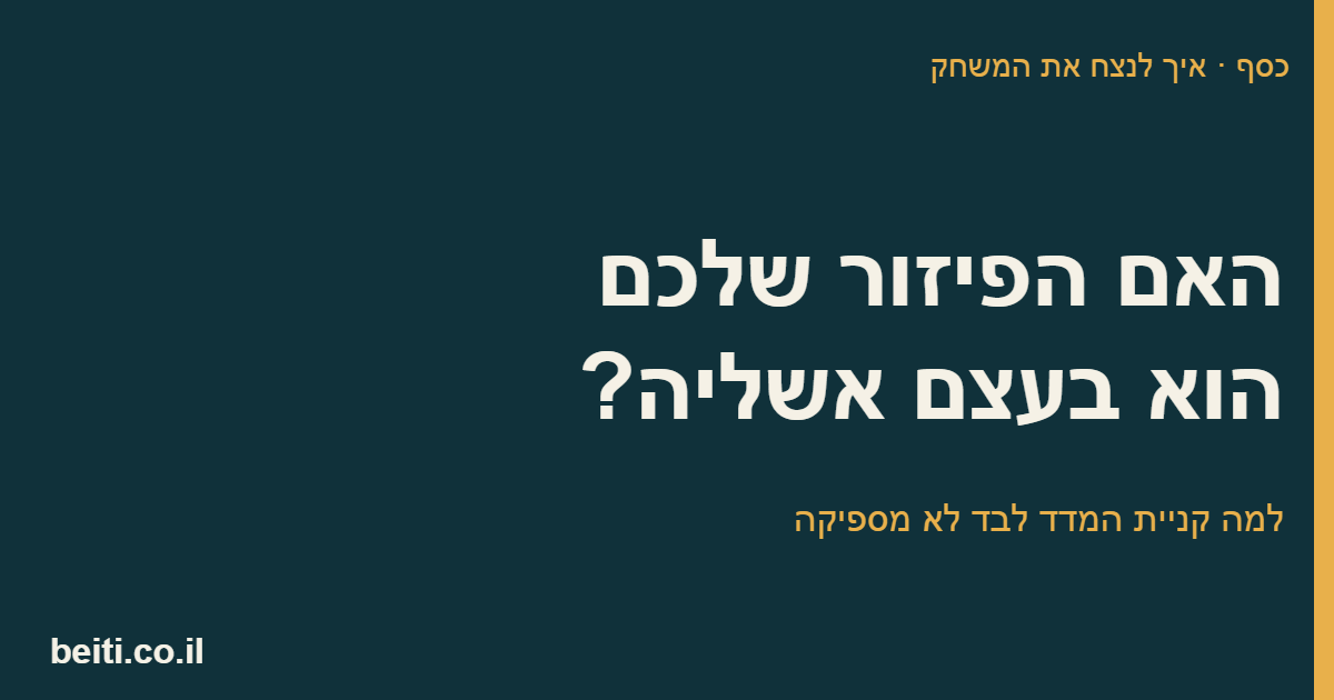 האם פיזור ההשקעות שלכם הוא אשליה